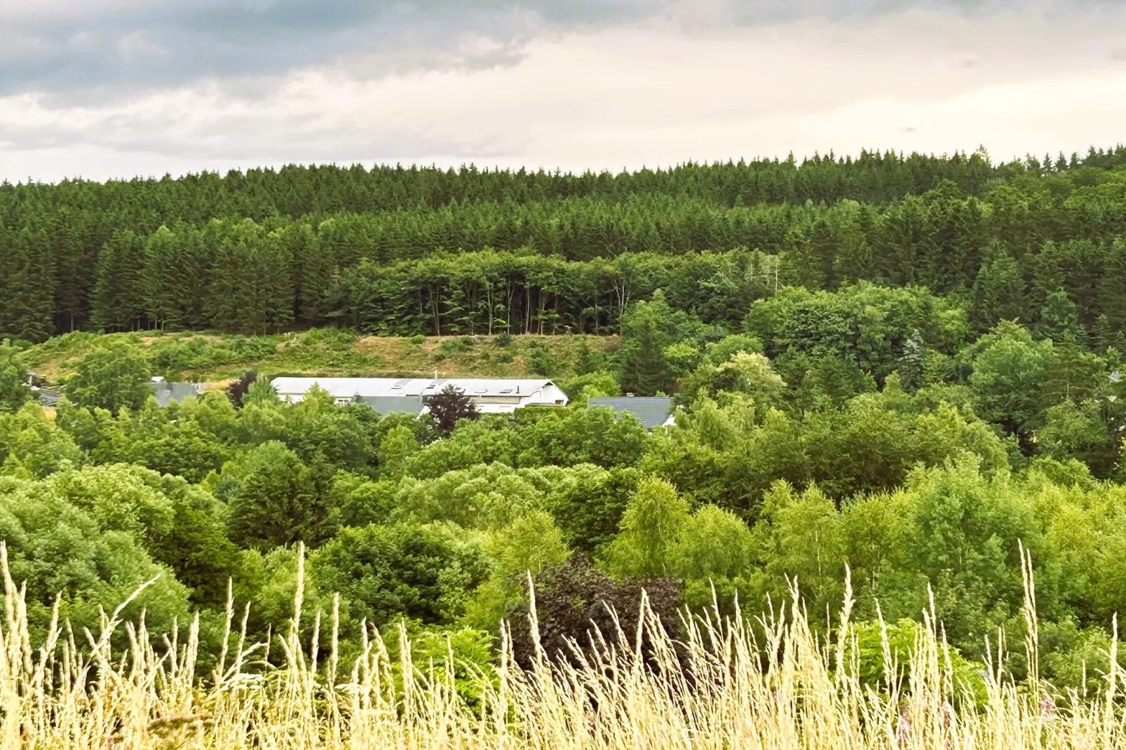 Skjoldenhof-View in summer