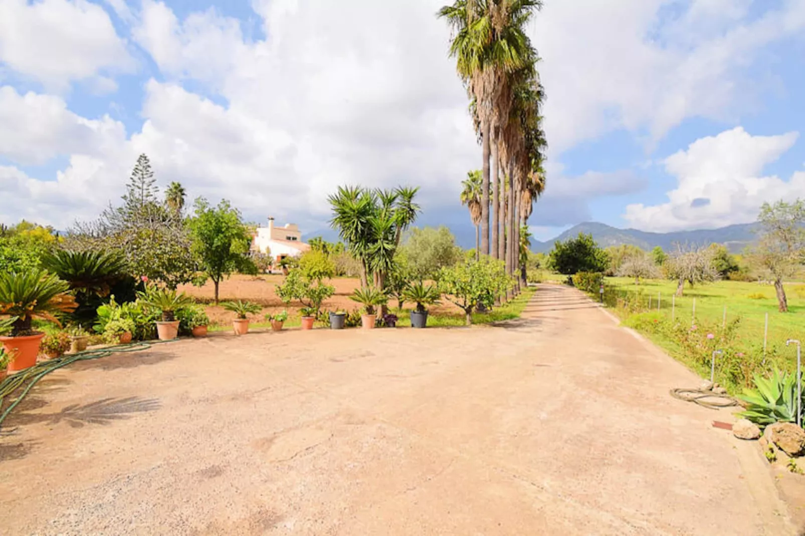 Maison à Campanet-Nicht zugeordnet