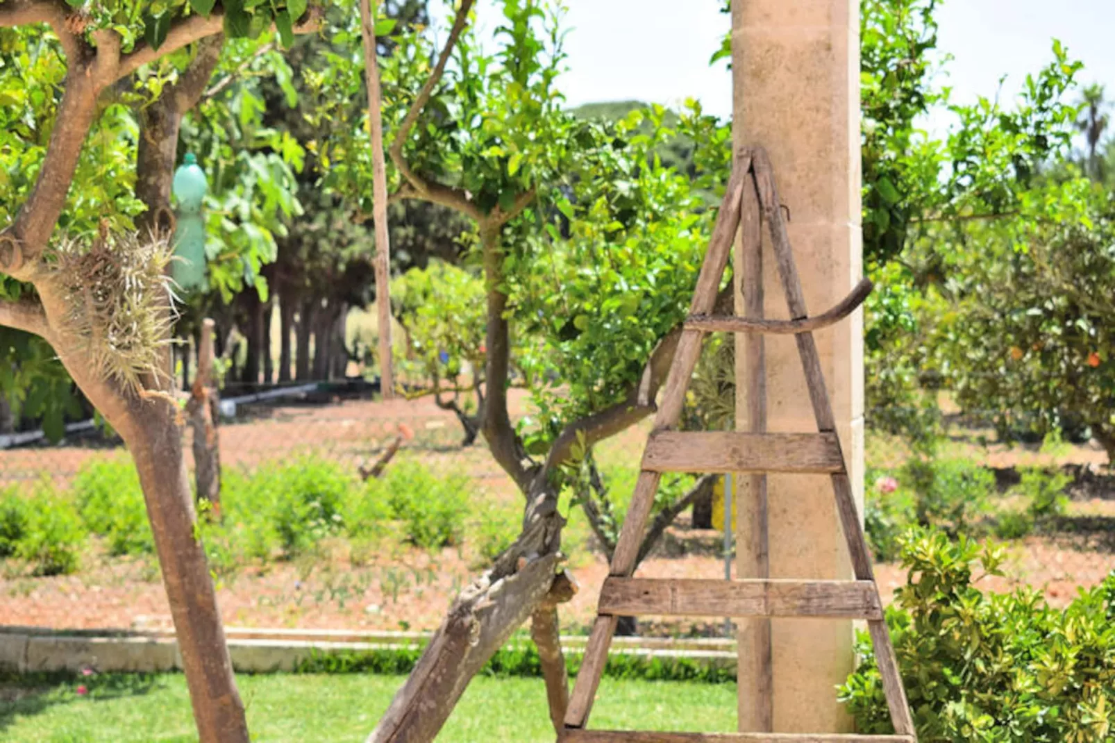 Maison à Muro-Non tagué