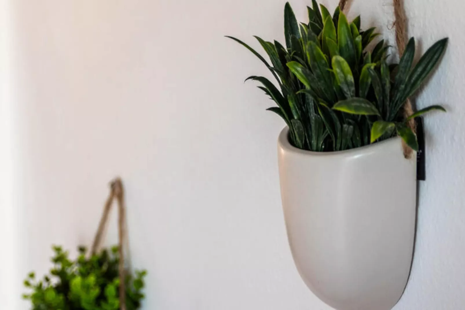 Appartements à Son Parc-Untagged