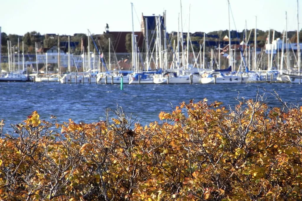 97769-Nicht zugeordnet