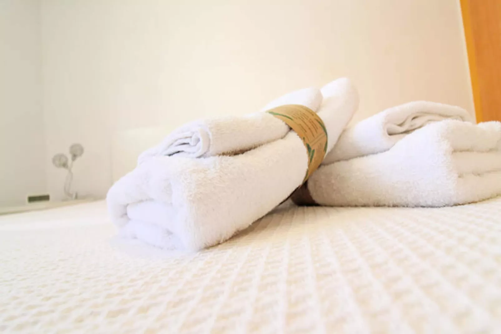 Appartements à Canet d'En Berenguer-Untagged