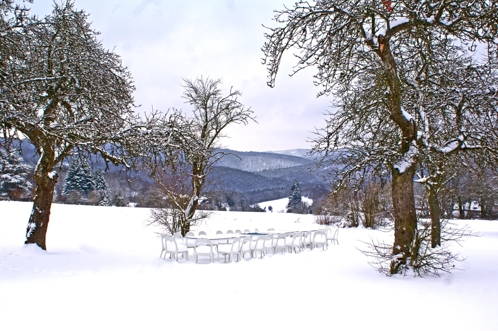 La Tour de Daverdisse-Garden winter