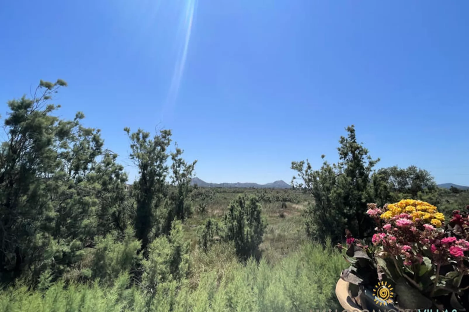 Appartements à Pollença - Port de Pollença-Nicht zugeordnet