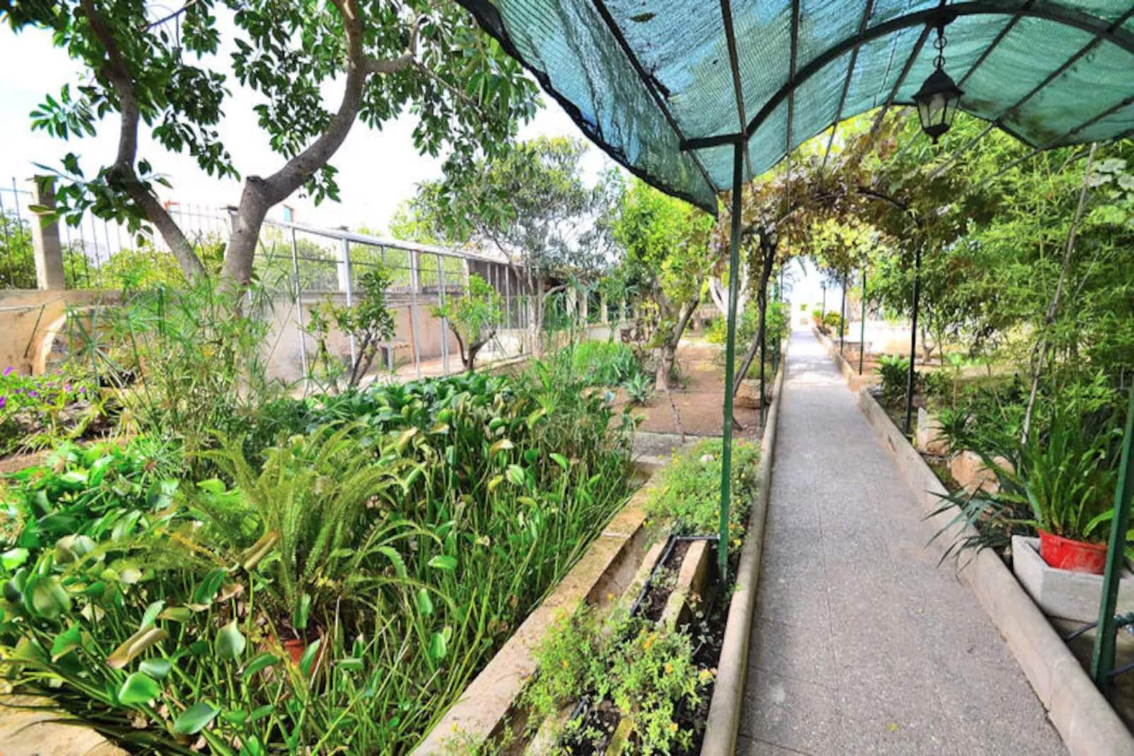 Maison à Muro-Nicht zugeordnet