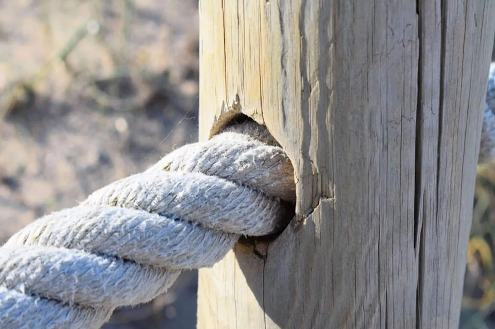 Maison à Cala d'Or-Untagged