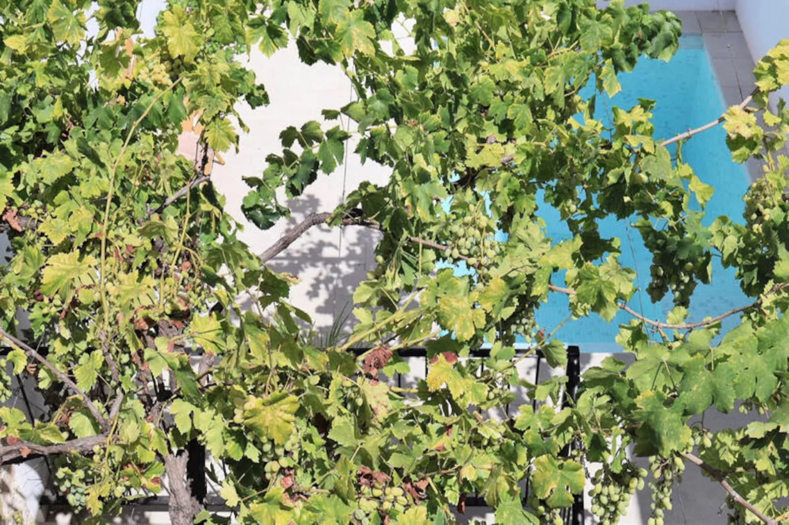 Maison à Muro-Nicht zugeordnet