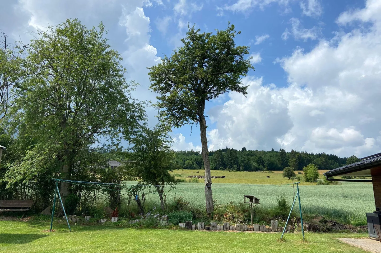 Très belle habitation à Lierneux pour 8 adultes-Jardin d'été
