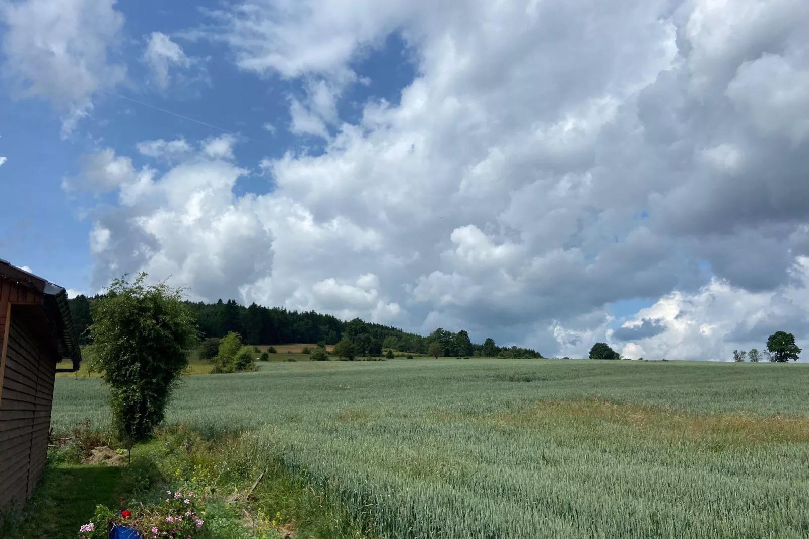 Très belle habitation à Lierneux pour 8 adultes-Vue d'été