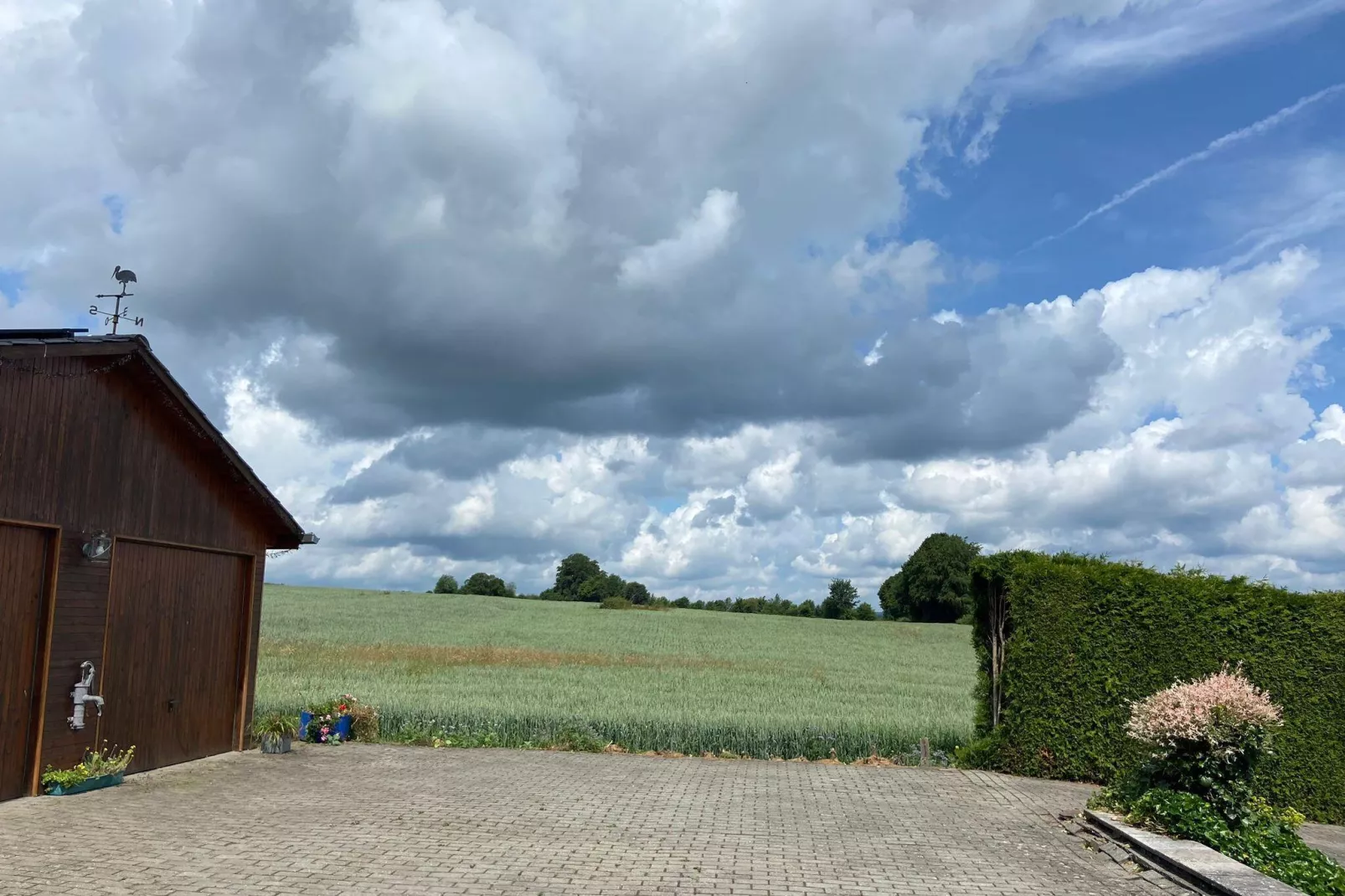 Très belle habitation à Lierneux pour 8 adultes-Vue d'été