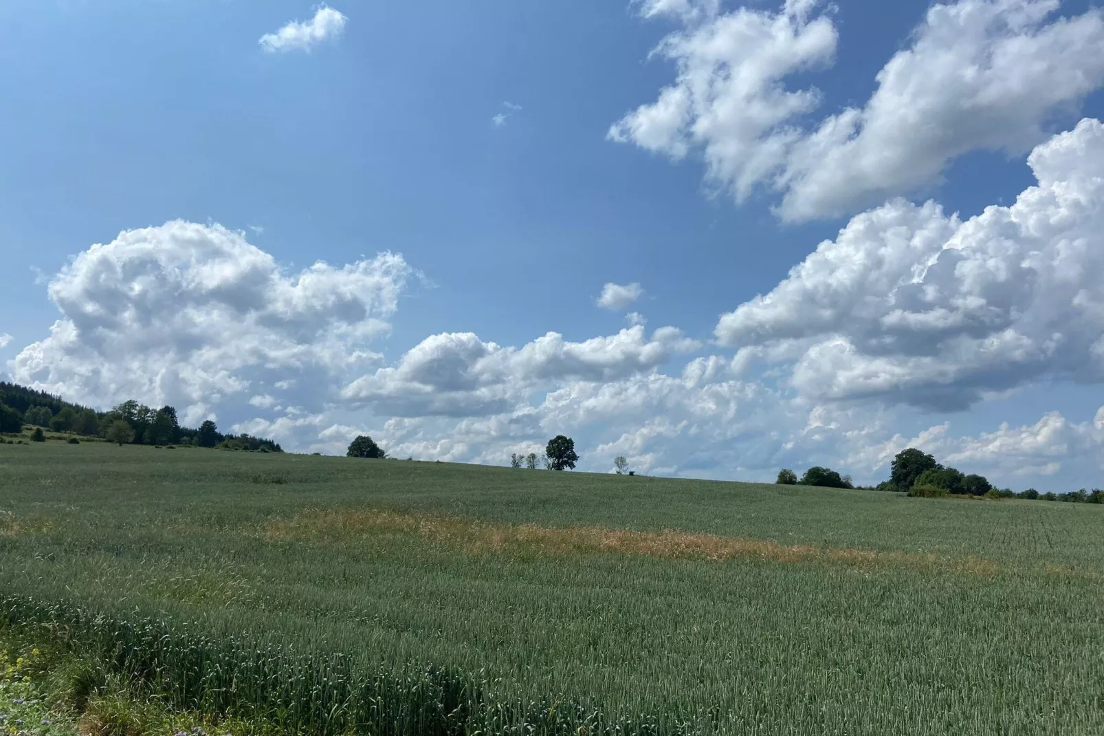 Très belle habitation à Lierneux pour 8 adultes-Zones d'été à 5 km