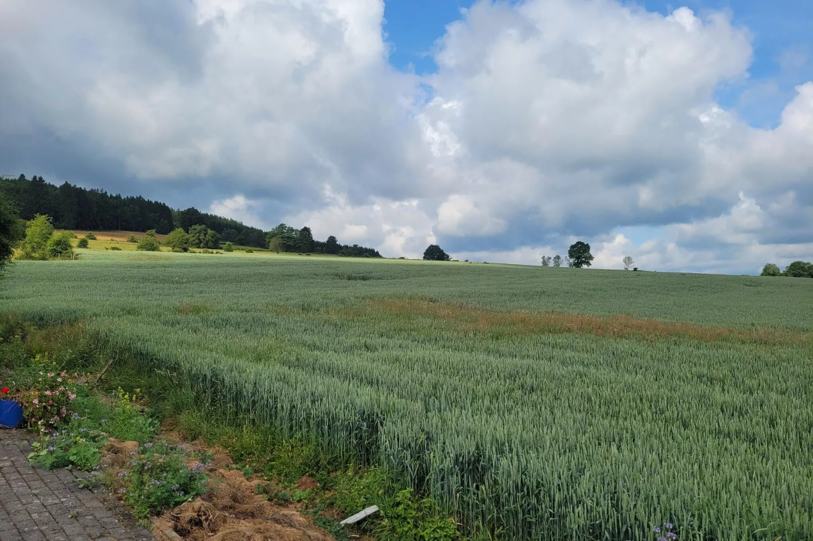 Très belle habitation à Lierneux pour 5 adultes-Zones d'été à 5 km