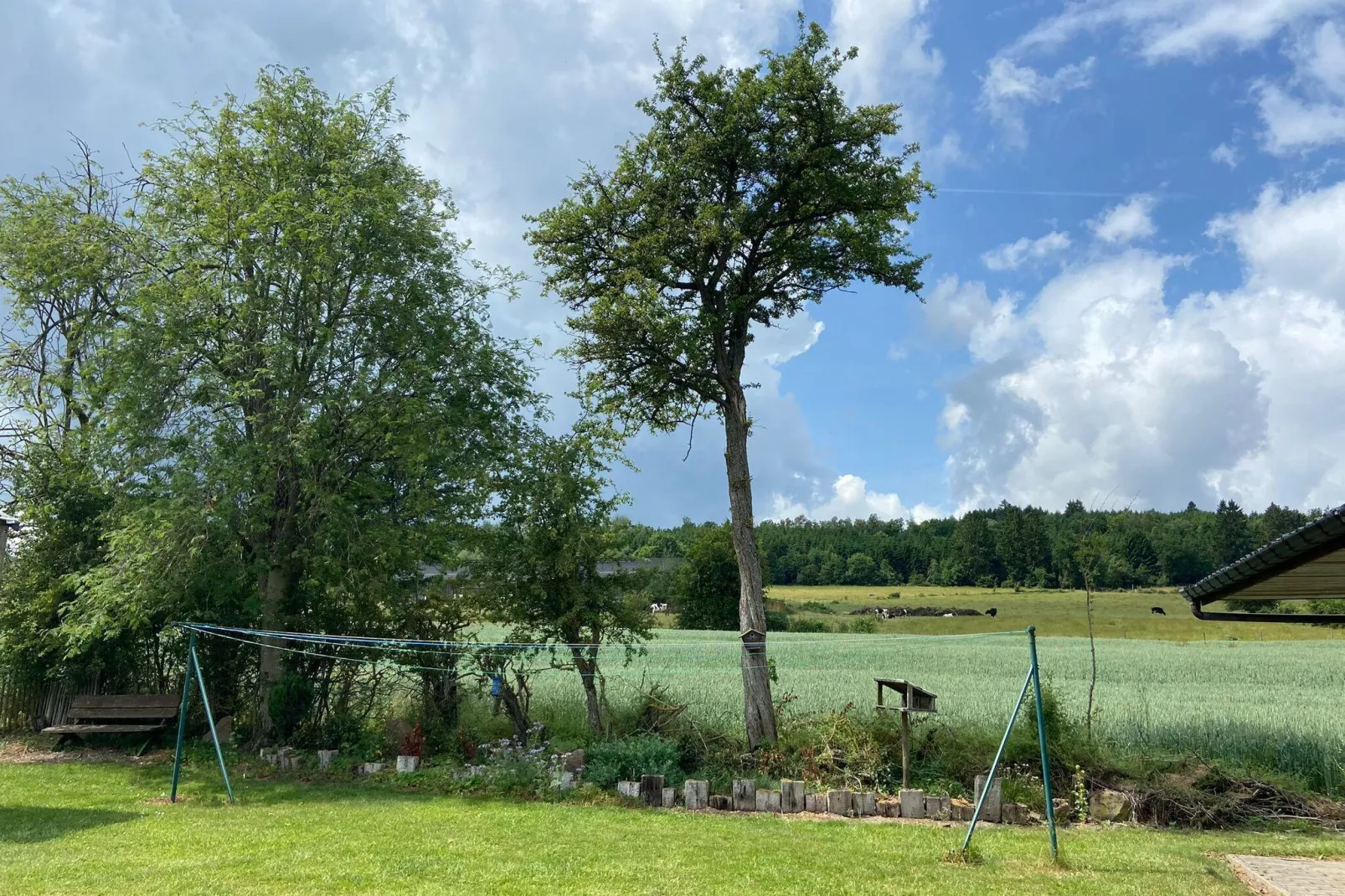 Très belle habitation à Lierneux pour 5 adultes-Jardin d'été