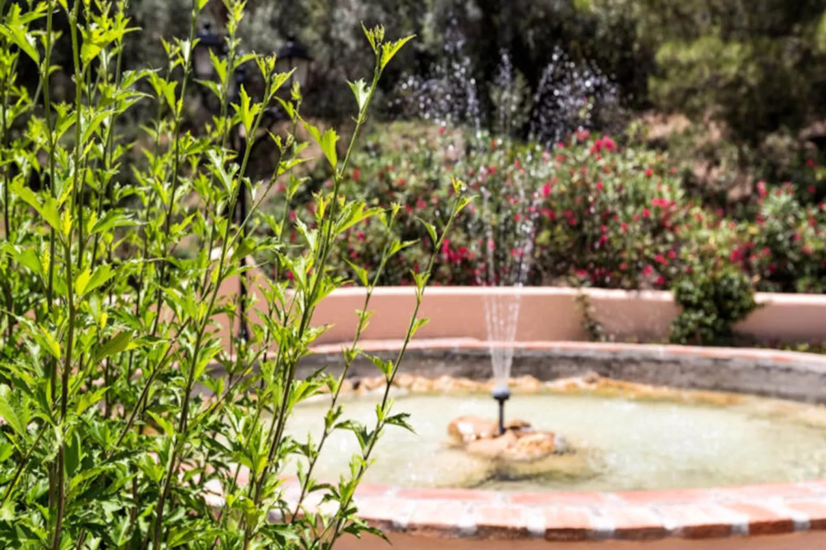 Appartements à Marbella-Nicht zugeordnet