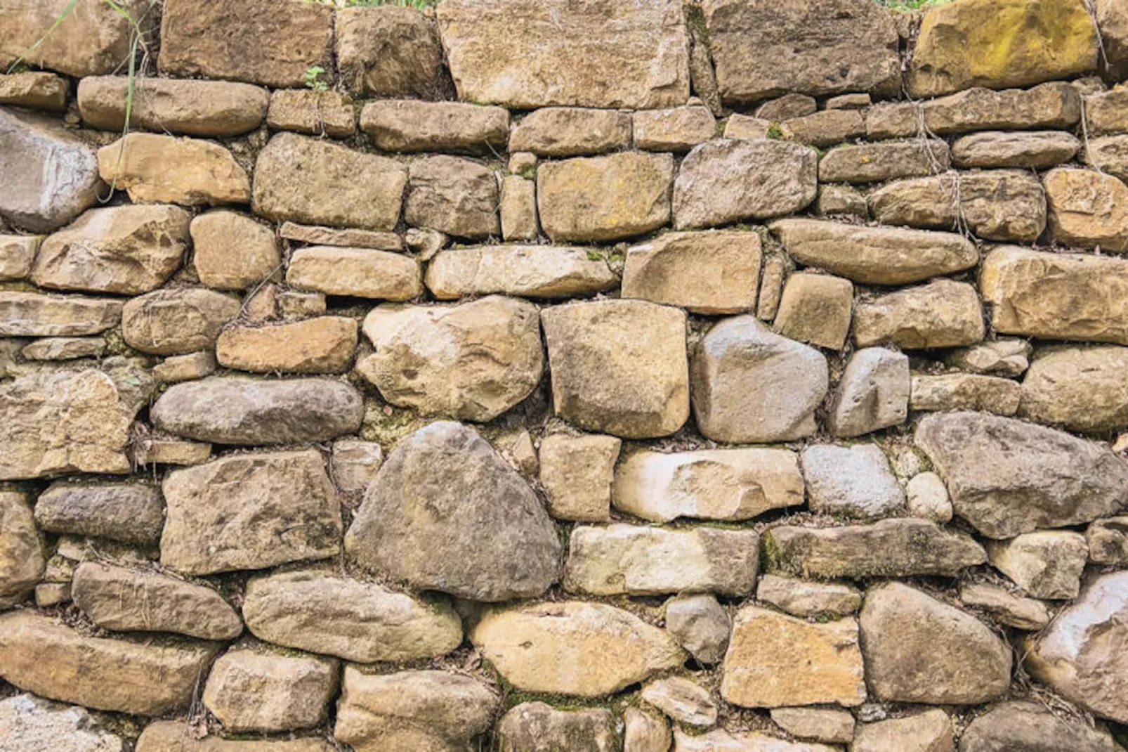 Appartements à Montagut i Oix-Non tagué