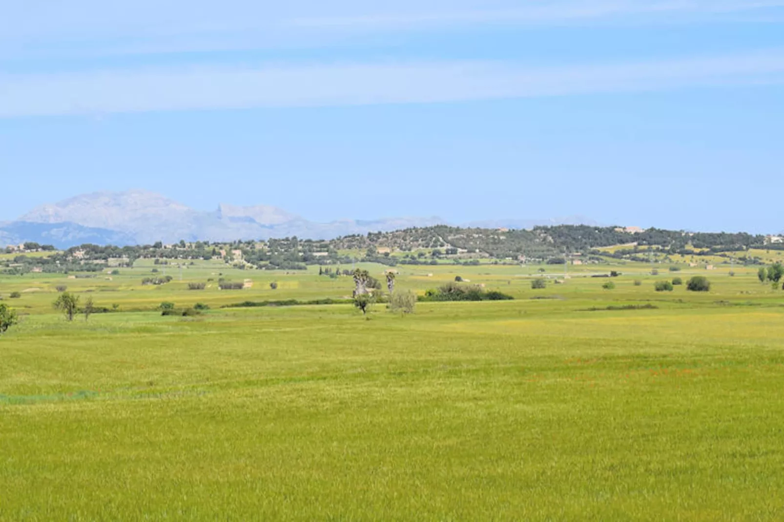 Maison à Maria de la Salut-Untagged