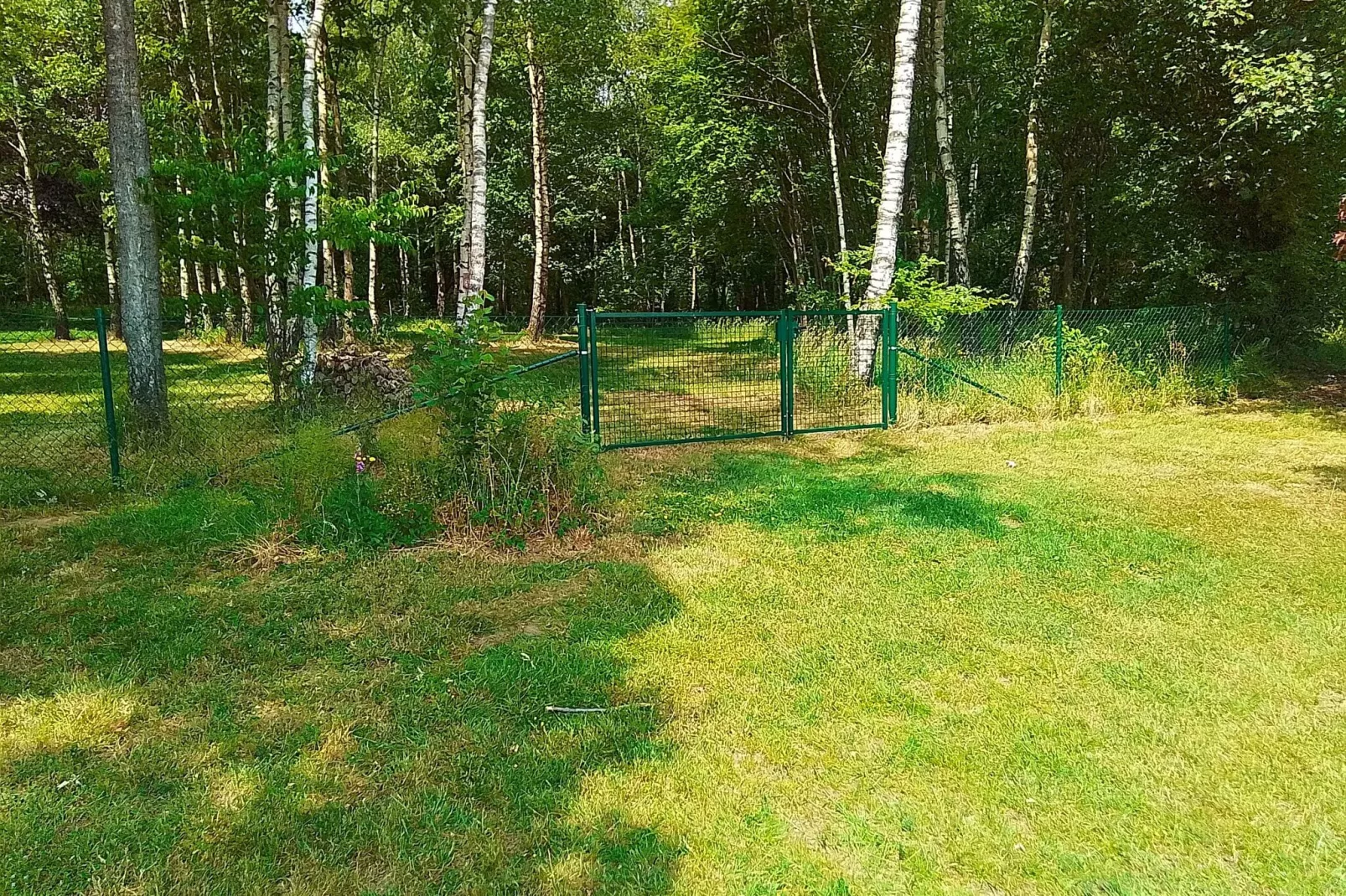 La Forêt-Außenbereich Sommer