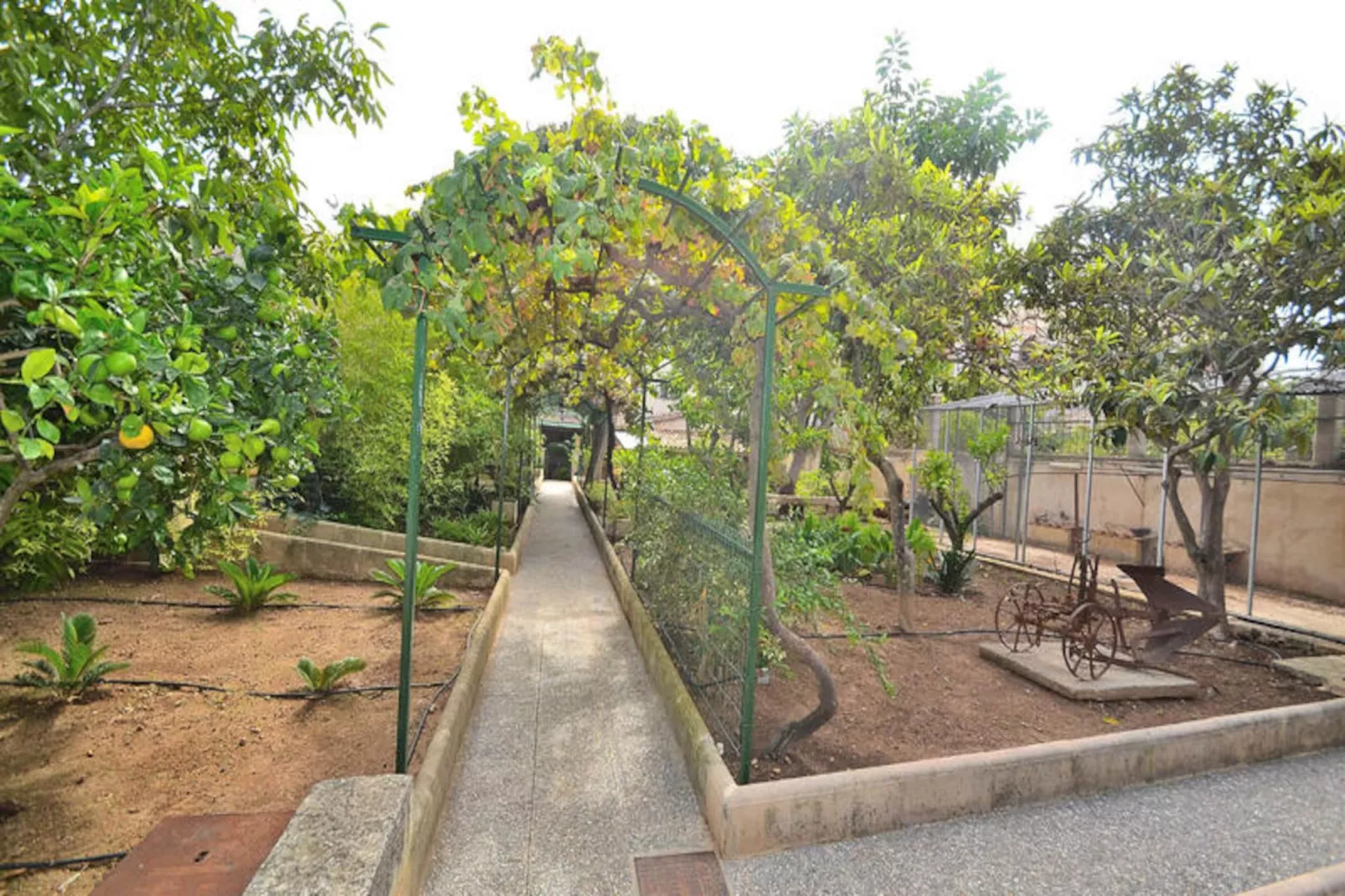 Maison à Muro-Nicht zugeordnet