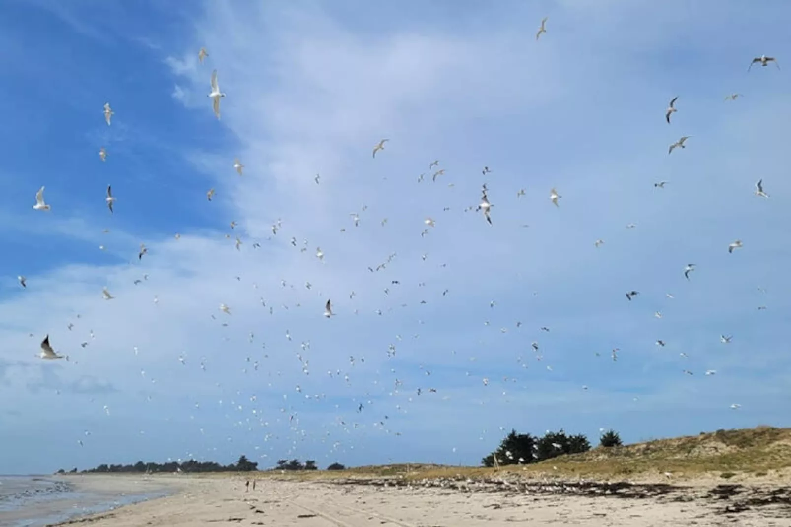 Maison à Le Guilvinec-Non tagué