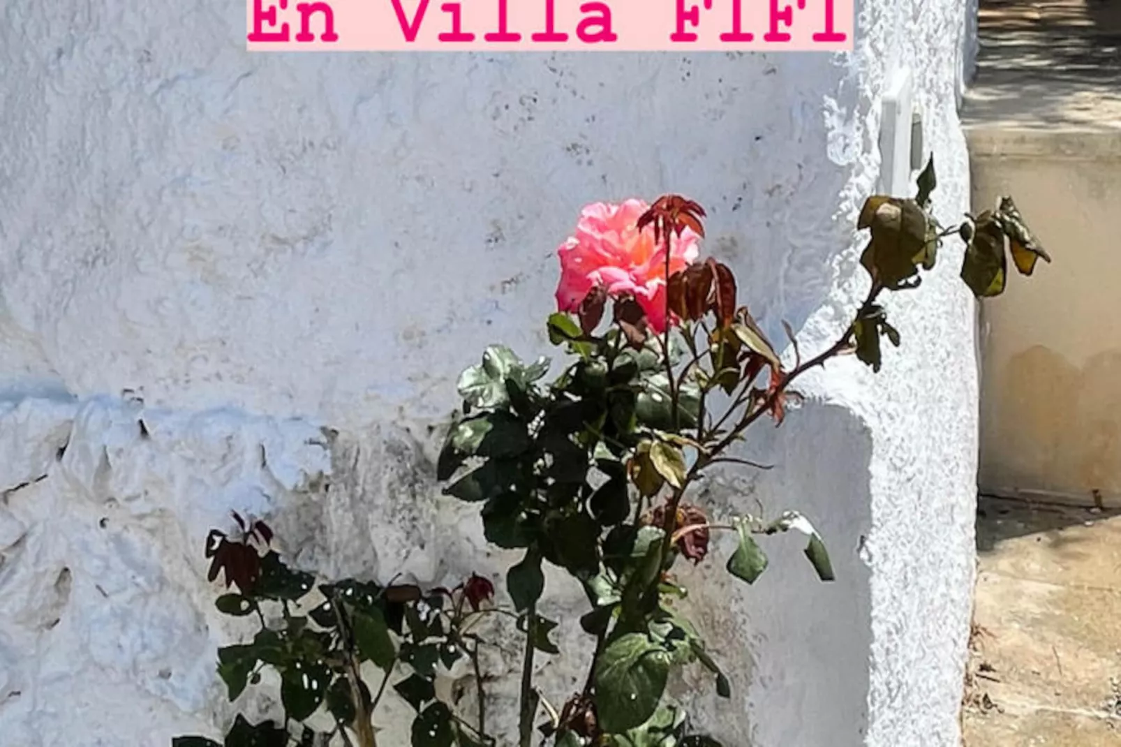 Maison à Cala'n Porter-Untagged