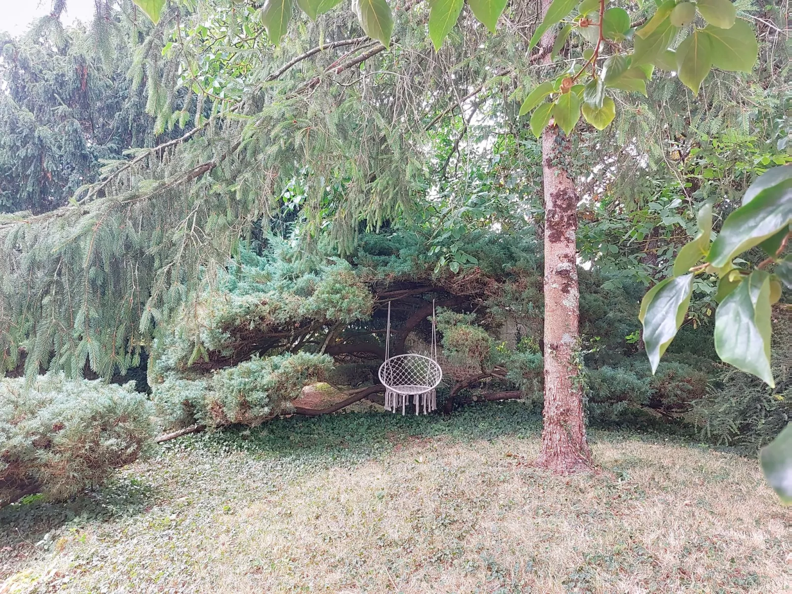 Les Vidalières-Outside