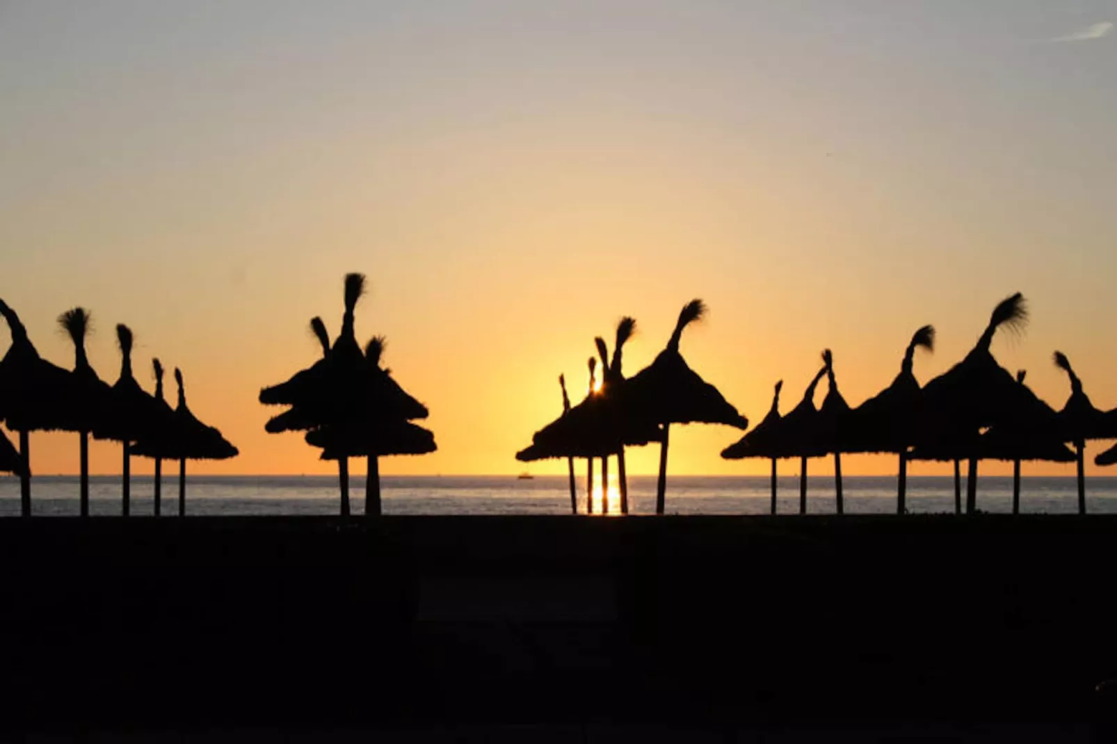 Maison à Alcúdia - Port d'Alcúdia-Non tagué