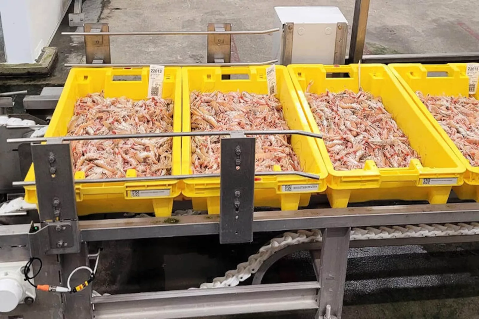 Maison à Le Guilvinec-Non tagué