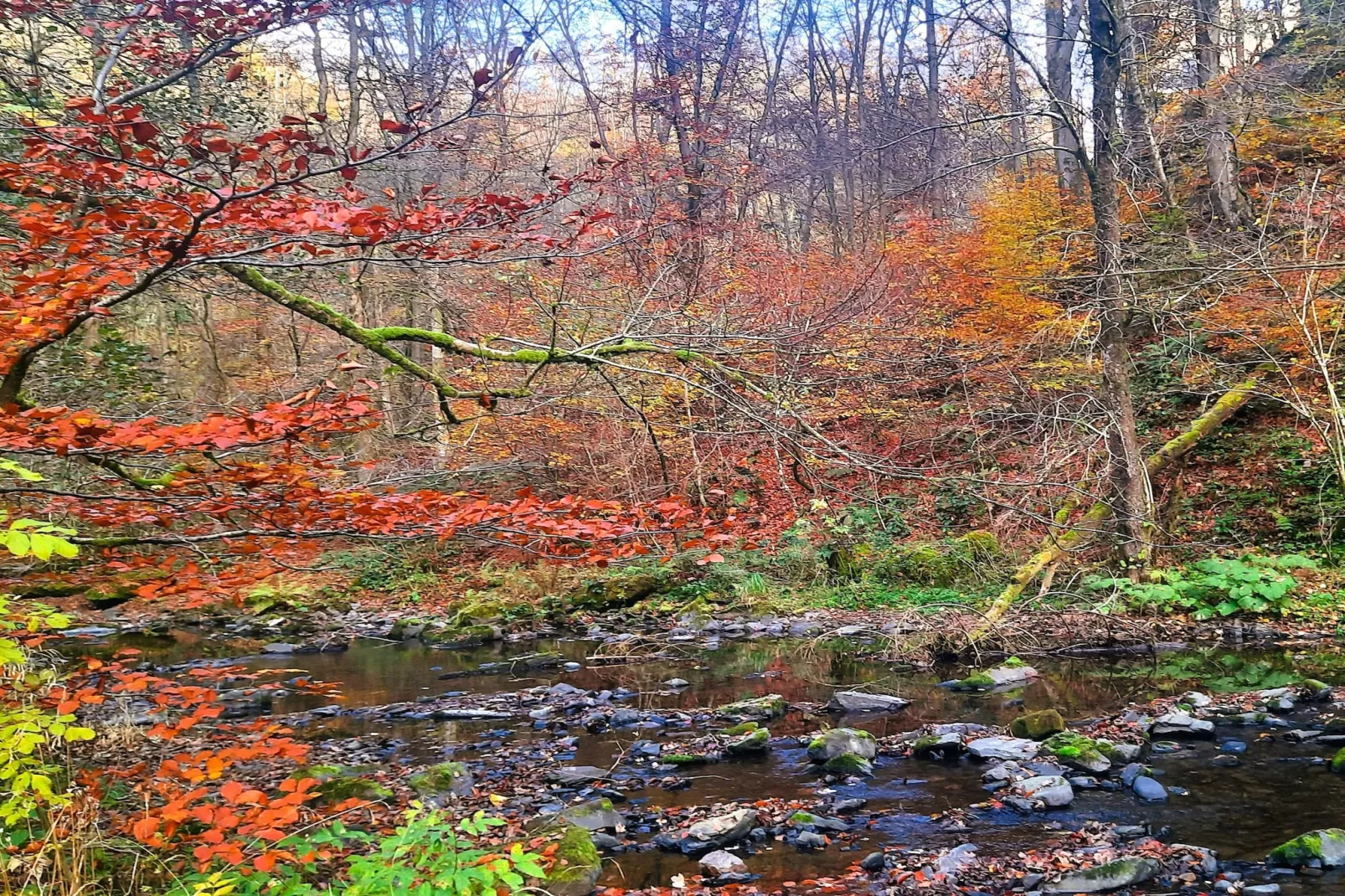 Skjoldenhof-Areas within 5km in summer