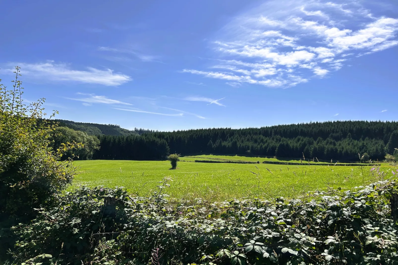Skjoldenhof-Areas within 20km in summer