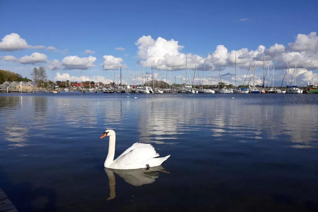 235122-Nicht zugeordnet