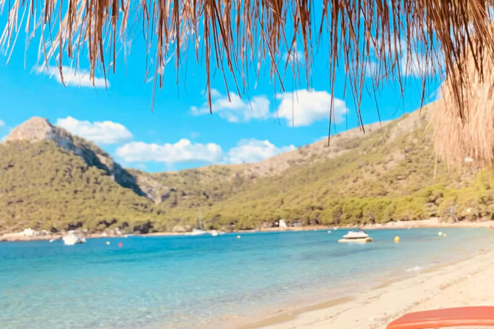 Appartements à Pollença - Port de Pollença-Nicht zugeordnet