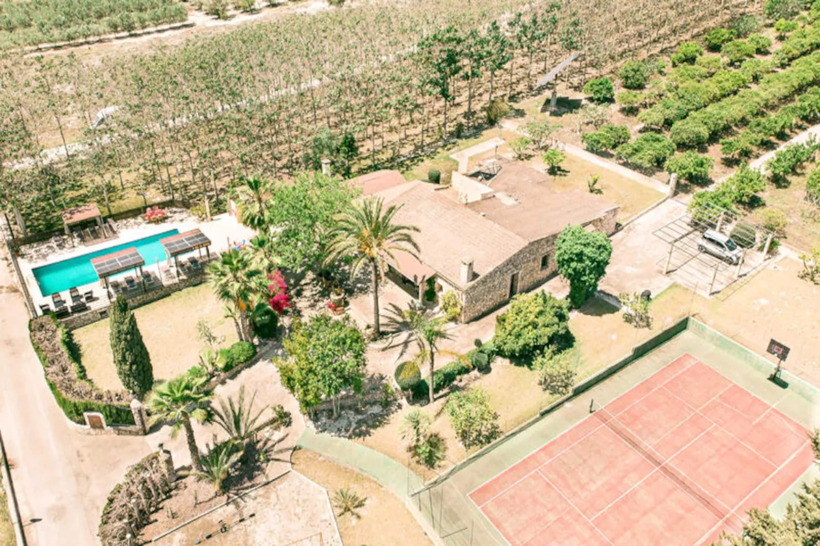 Maison à Llubí - Untagged