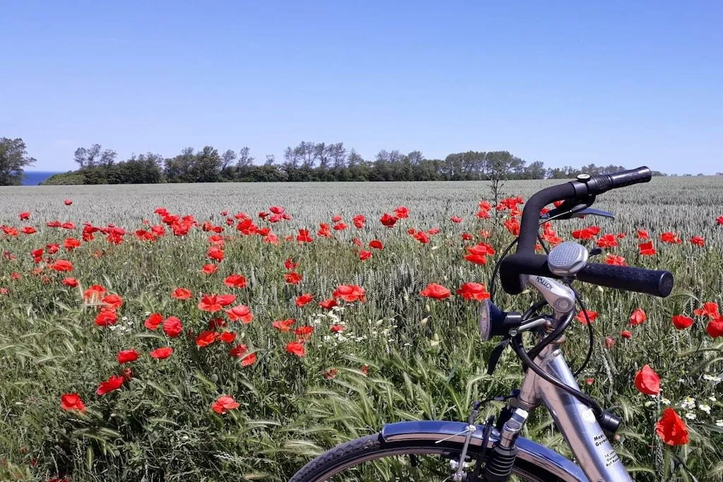 235122-Nicht zugeordnet