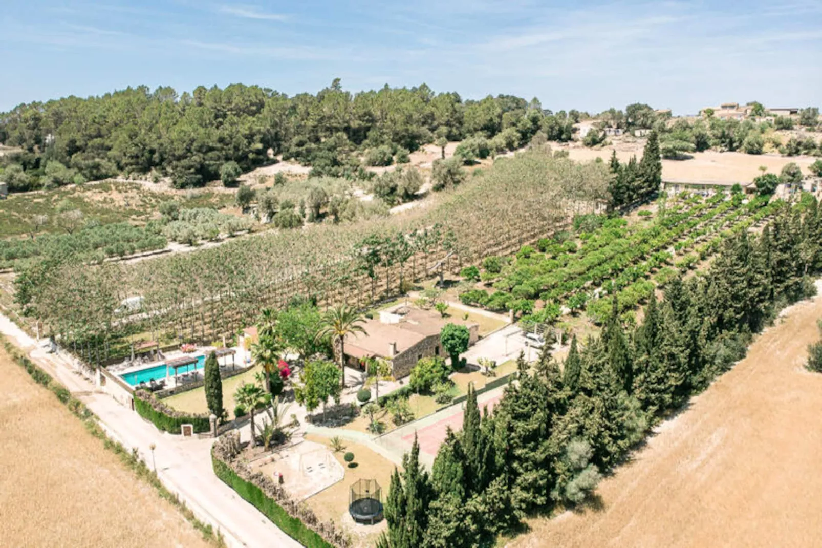 Maison à Llubí - Untagged