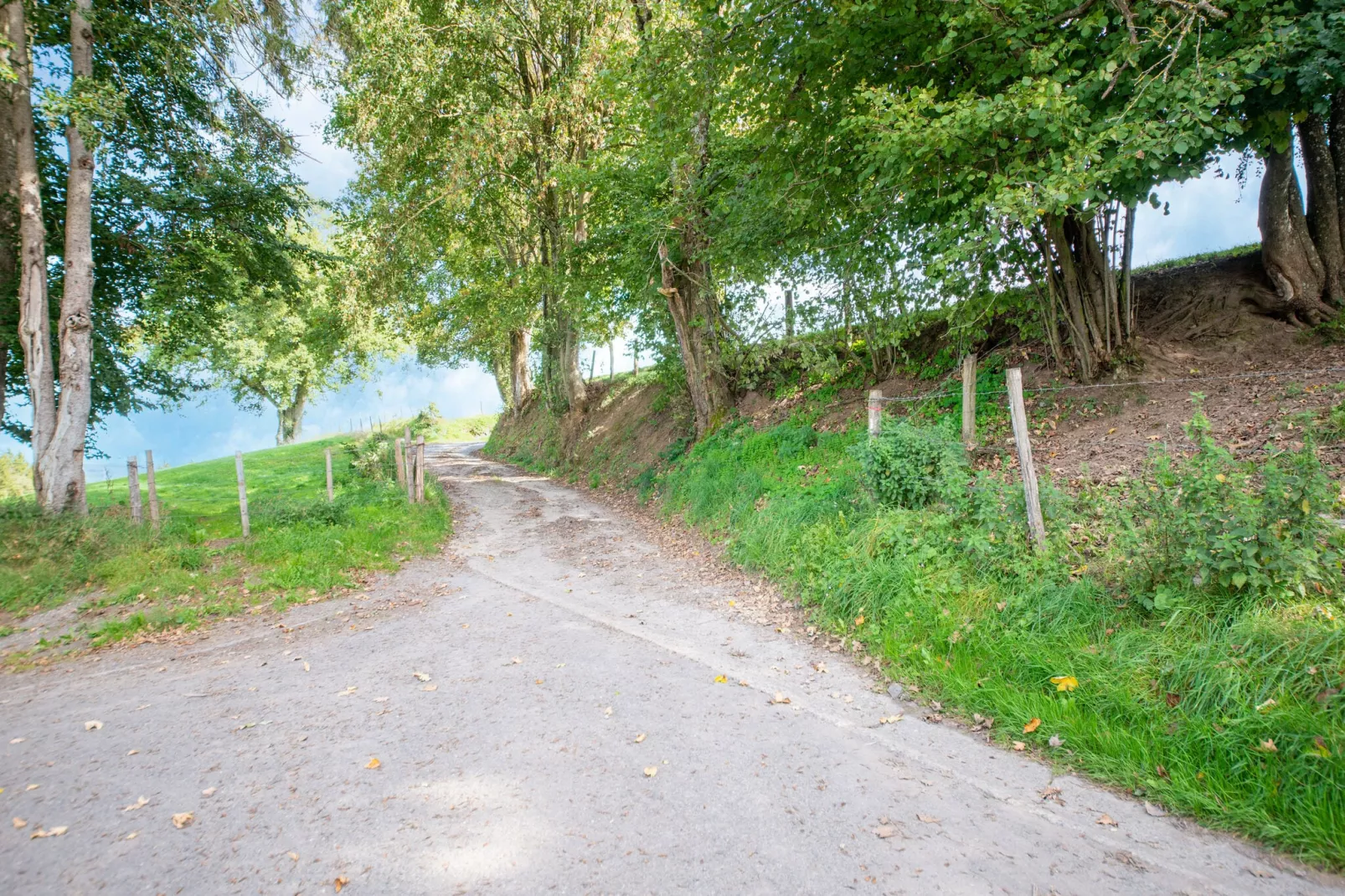Le Relais Enchanteur-Areas summer 5km