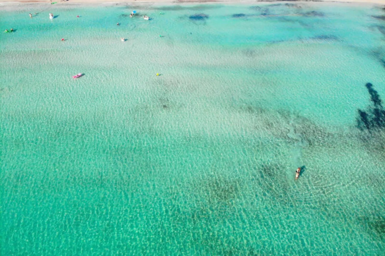 Appartements à Alcúdia - Port d'Alcúdia-Untagged