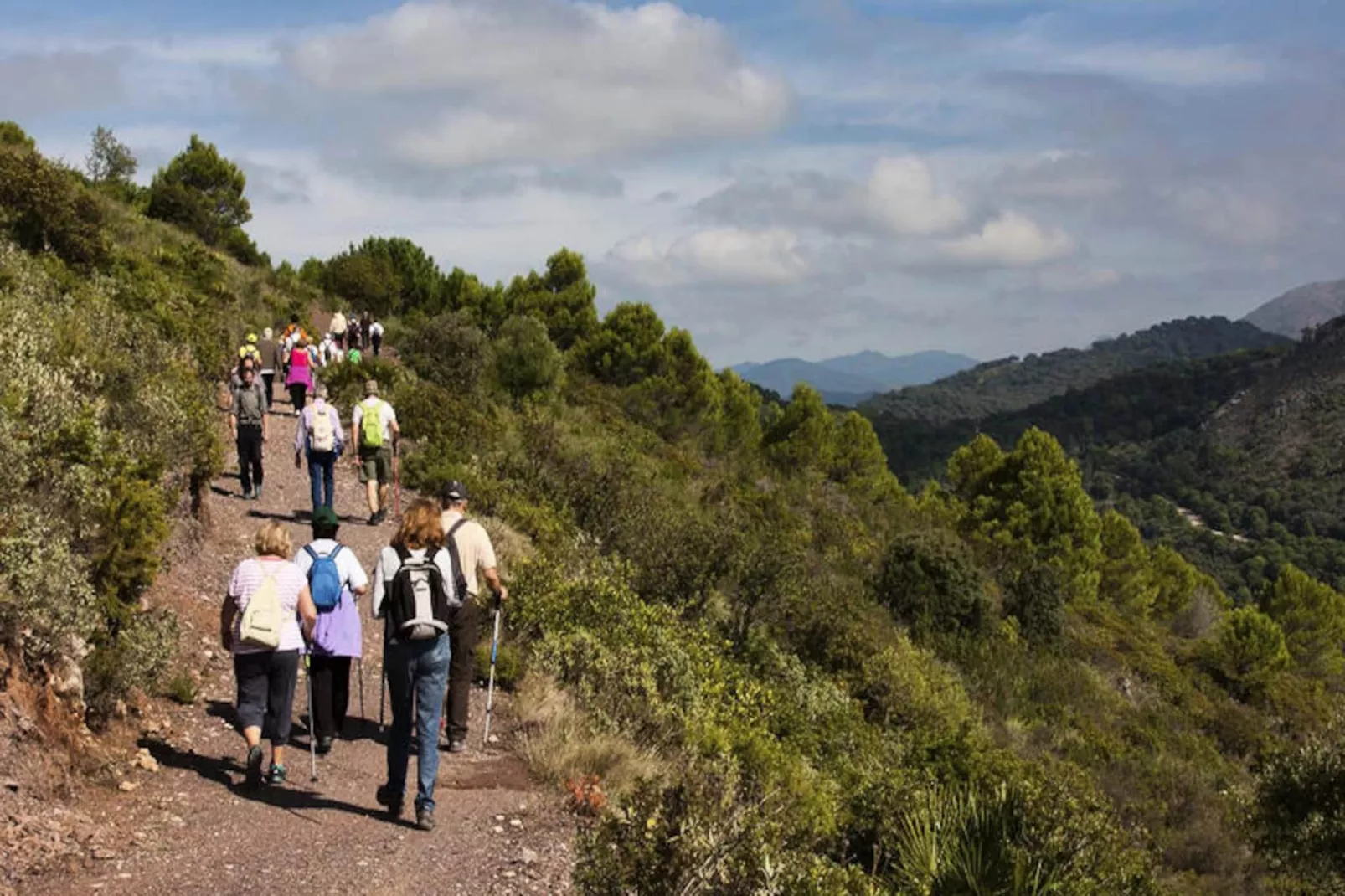 Appartements à Casares-Untagged