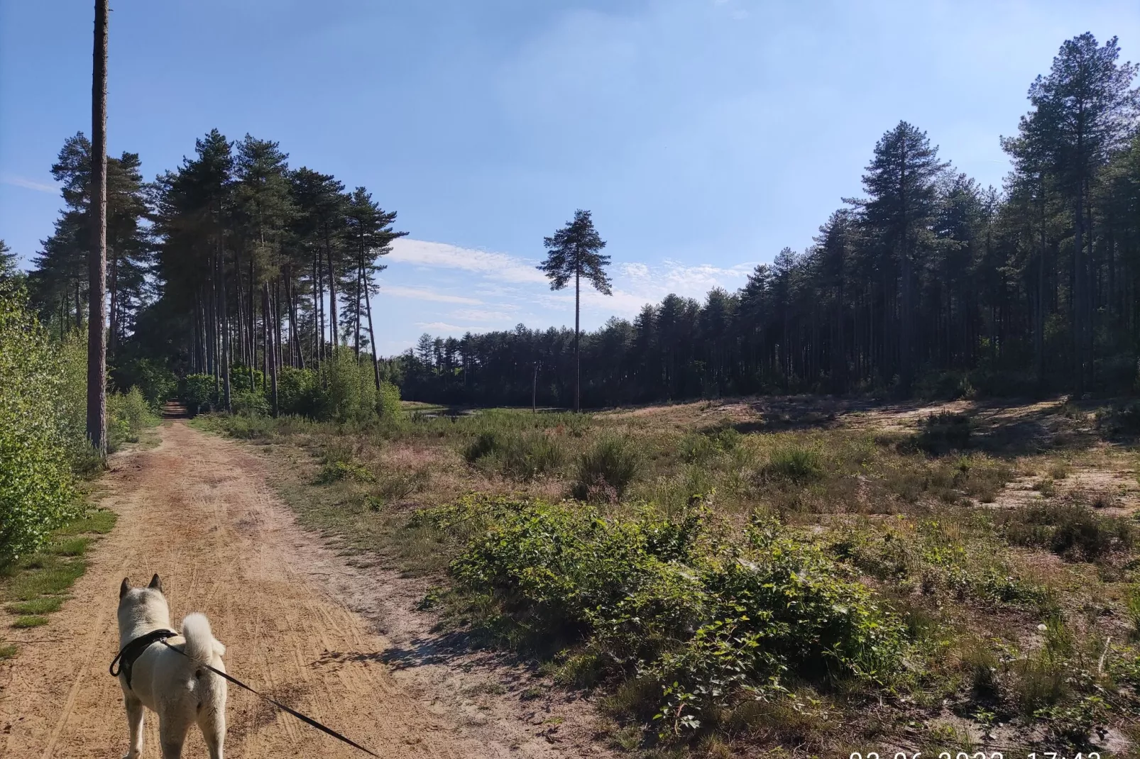Mira' s Lodge-Zones d'été à 5 km