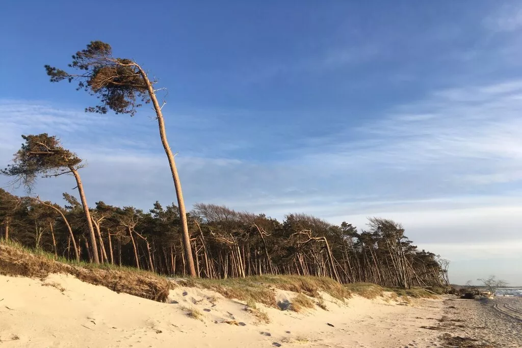 57990-Nicht zugeordnet