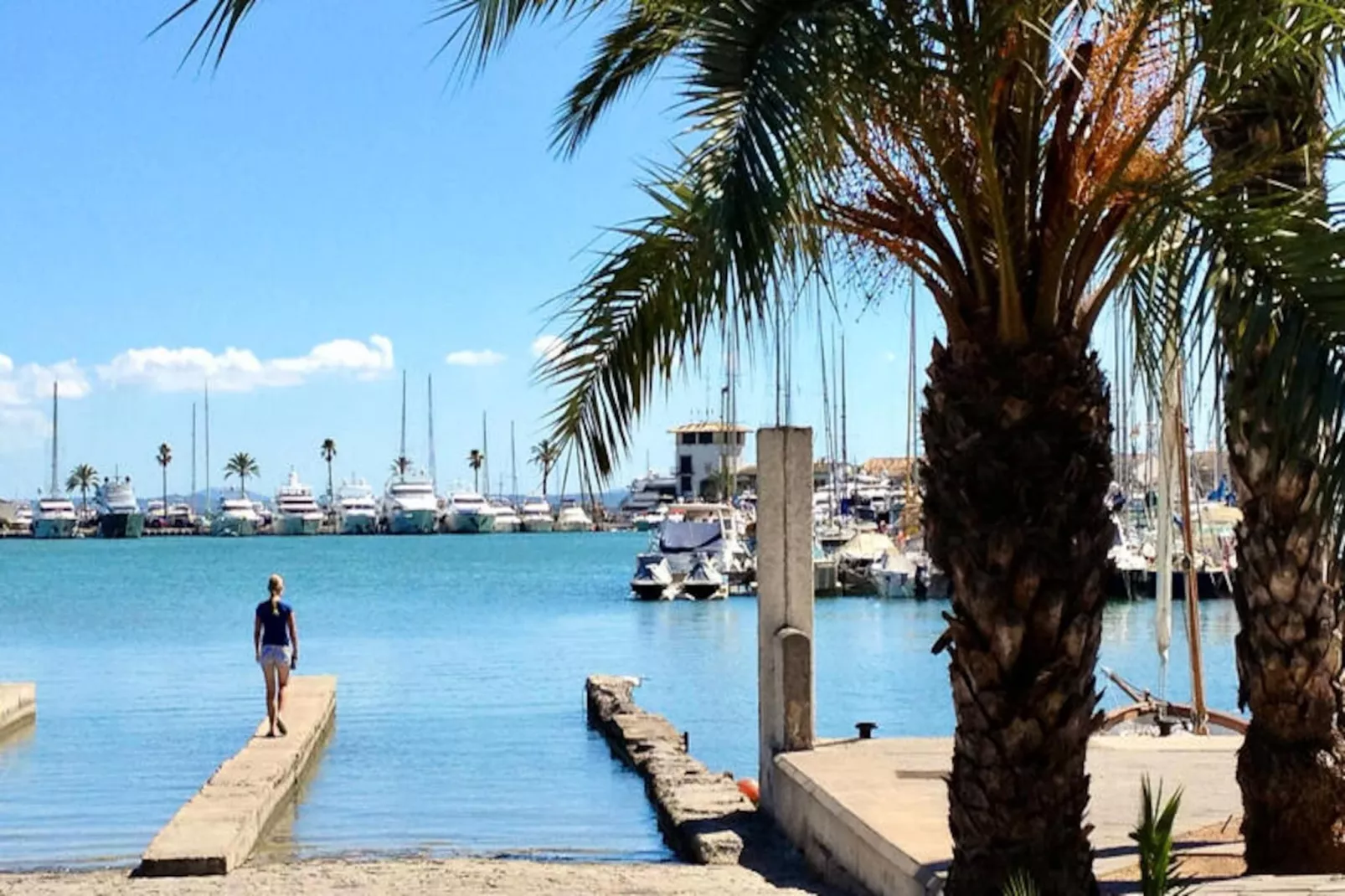 Appartements à Pollença - Port de Pollença-Nicht zugeordnet
