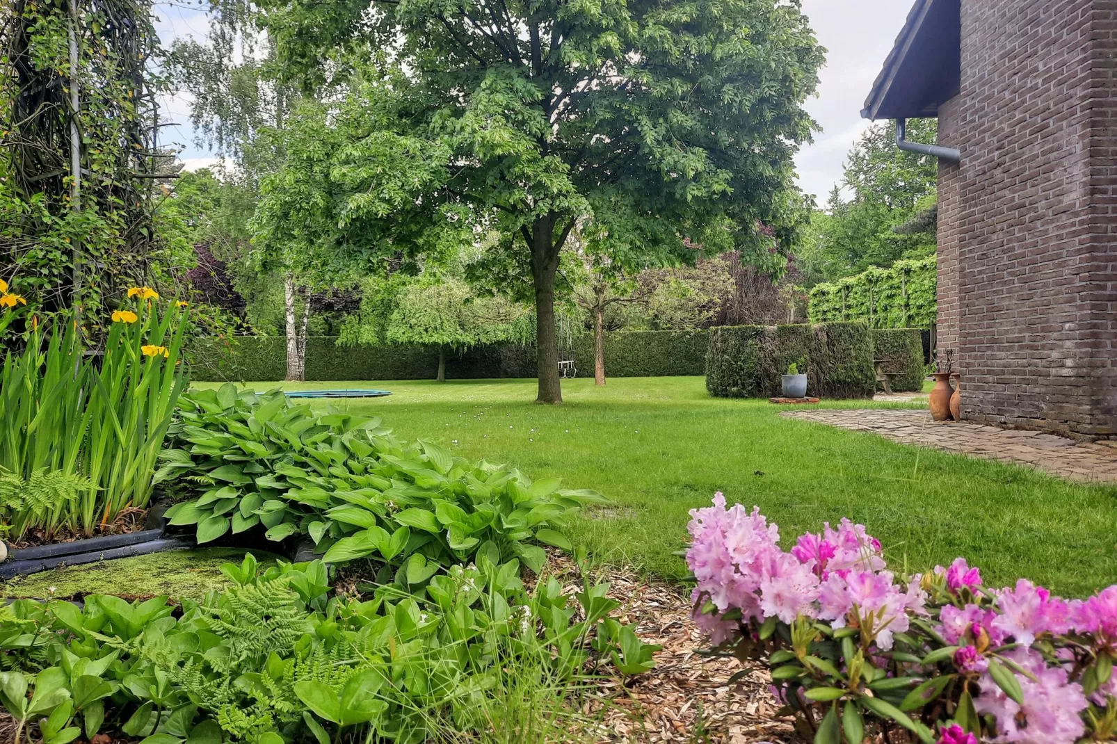 Buiten Huis-View summer