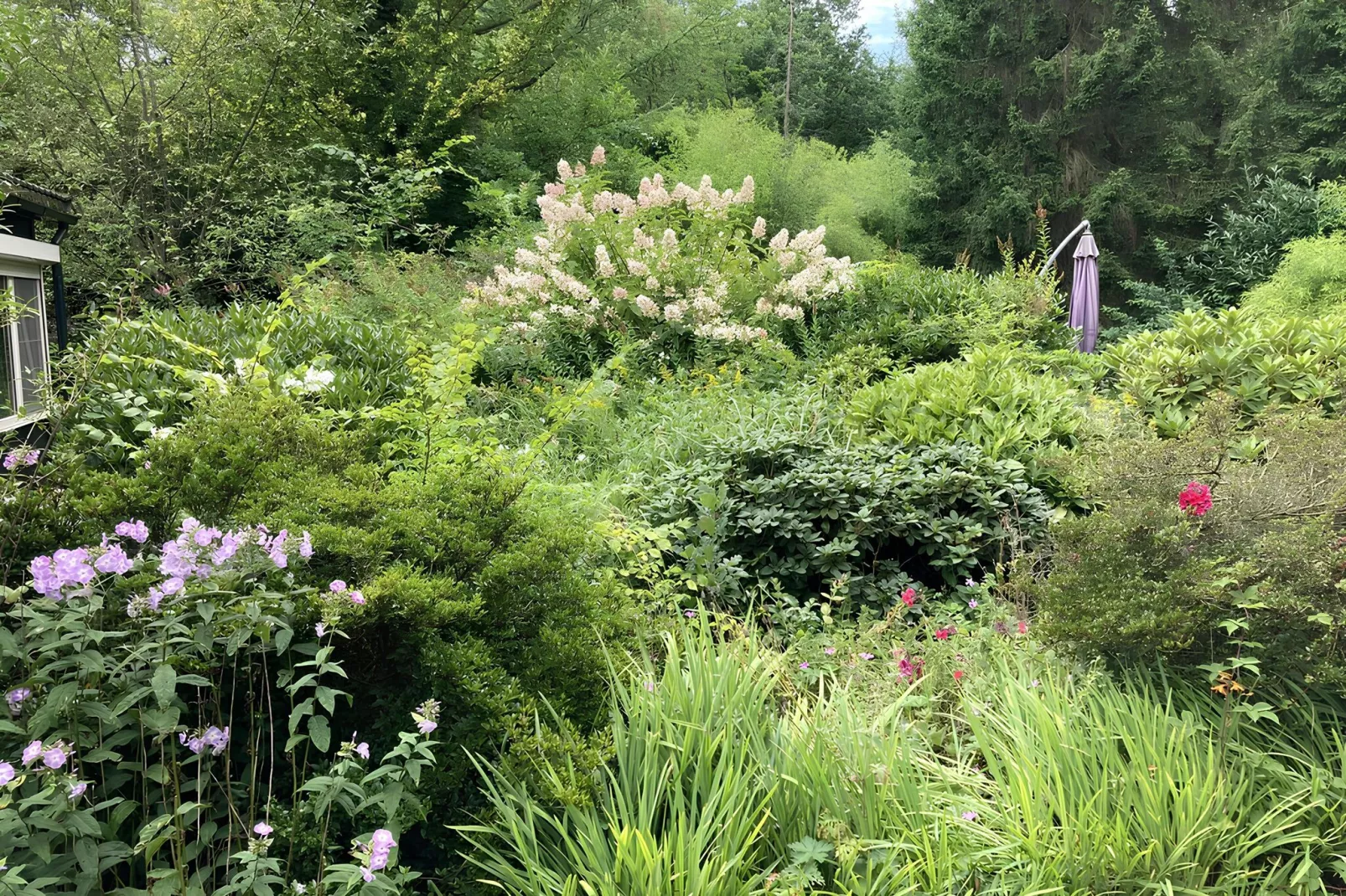 Casa Verde-Jardins en été