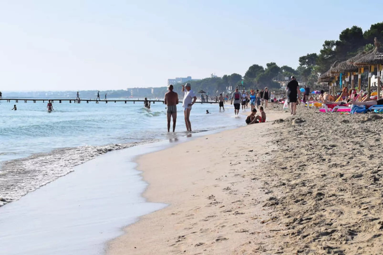 Appartements à Alcúdia - Port d'Alcúdia-Untagged