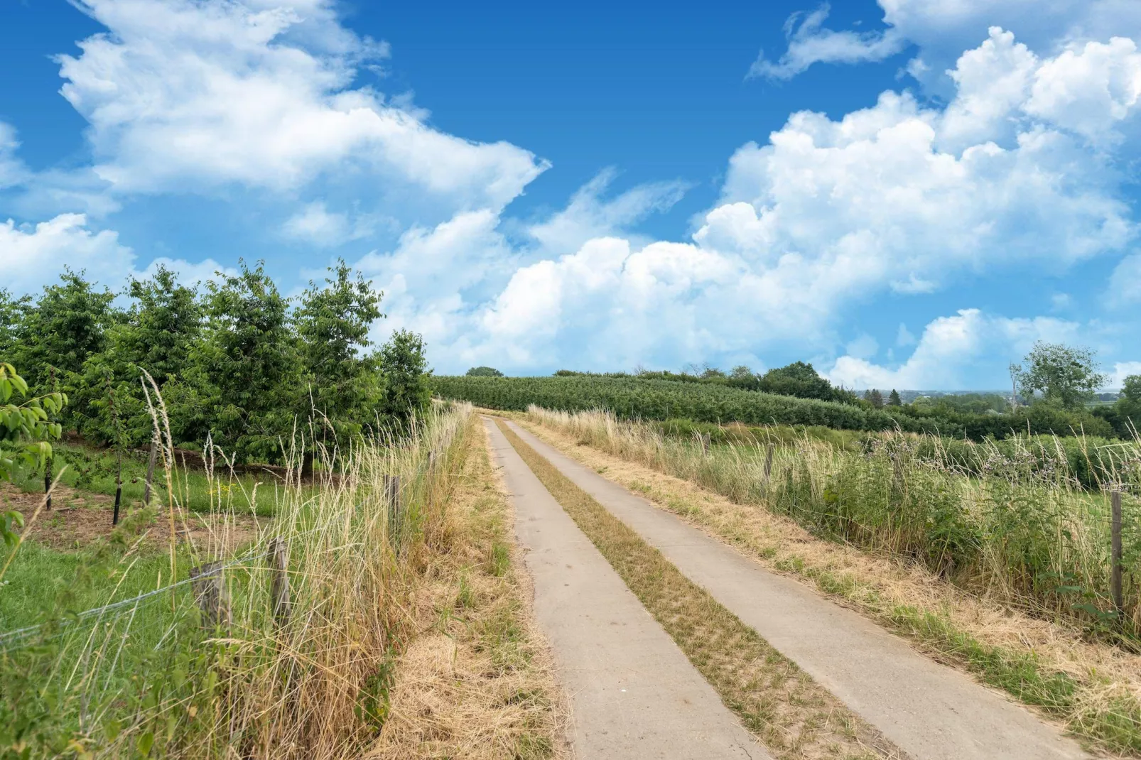 Huis Dries-Gebiete Sommer 5 km