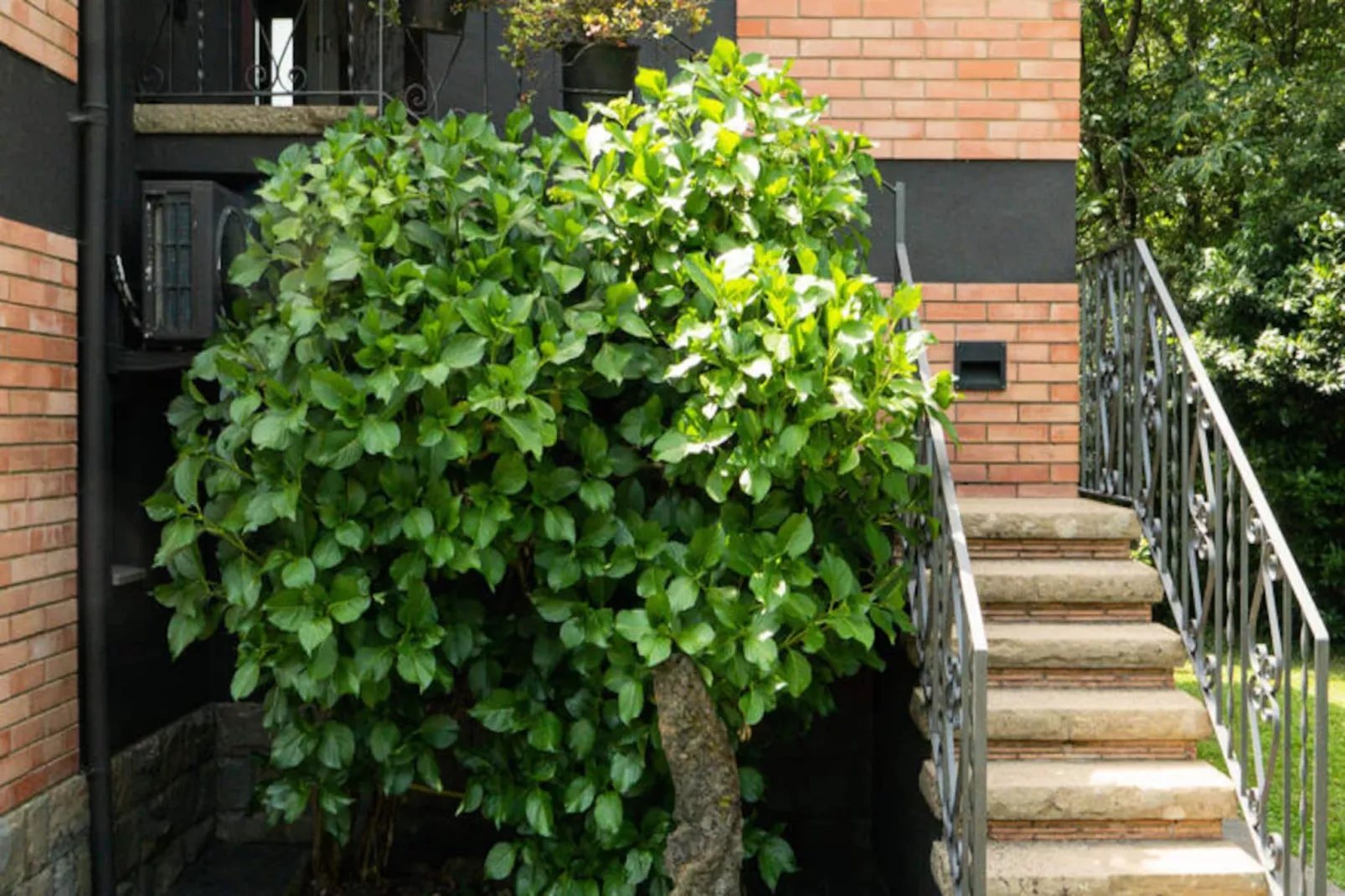 Mobil Home - Bungalow - Cottage à Santa Pau-Untagged