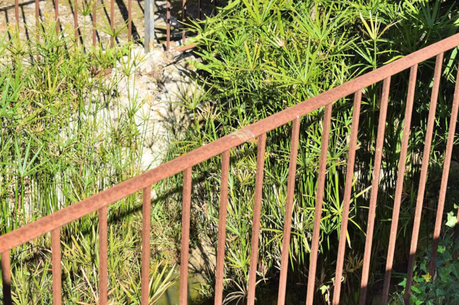 Maison à Pollença - Port de Pollença-Nicht zugeordnet