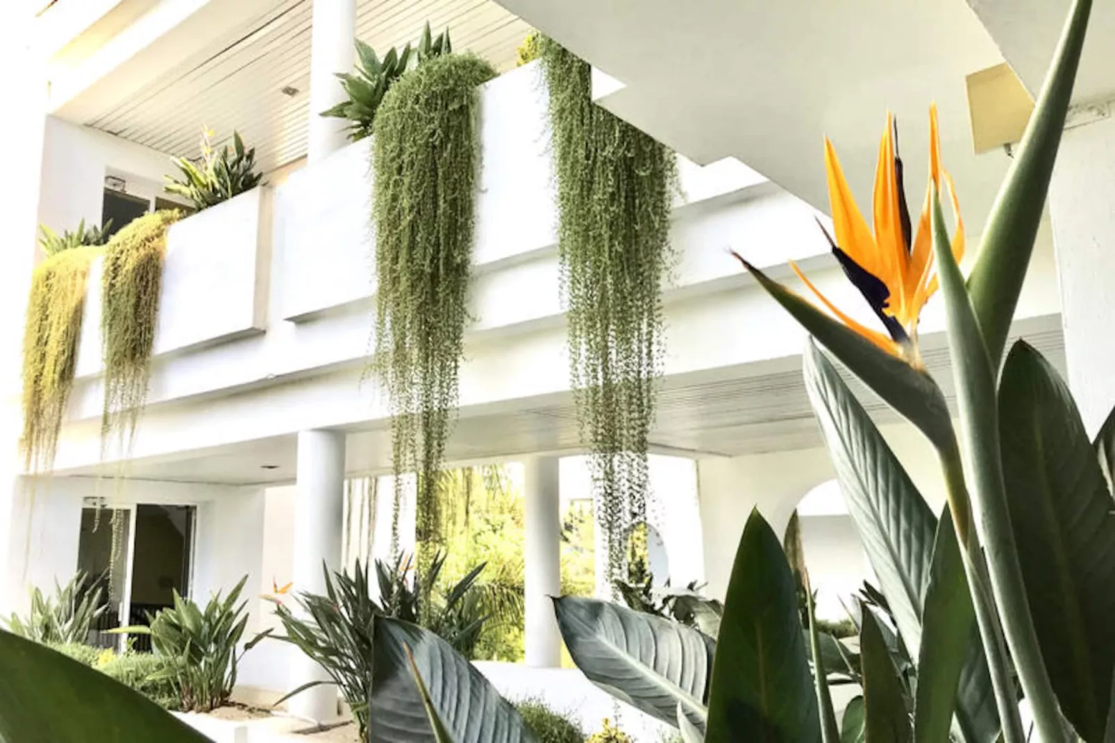 Appartements à Marbella-Non tagué