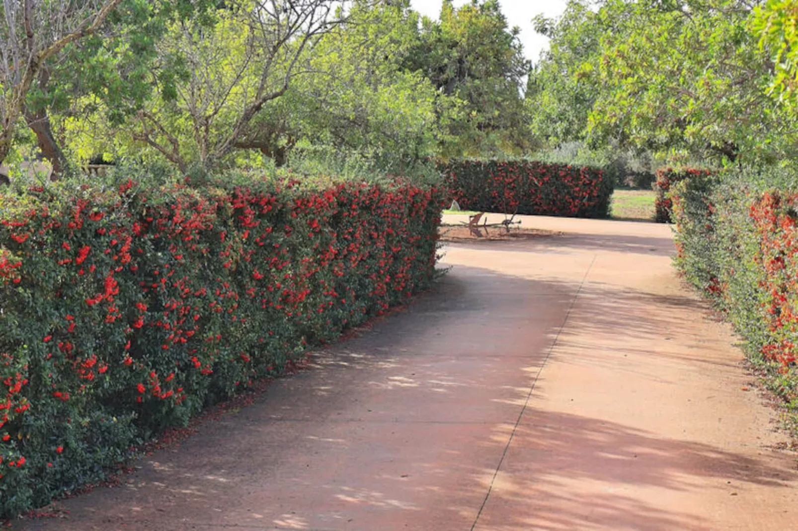 Maison à Binissalem-Non tagué