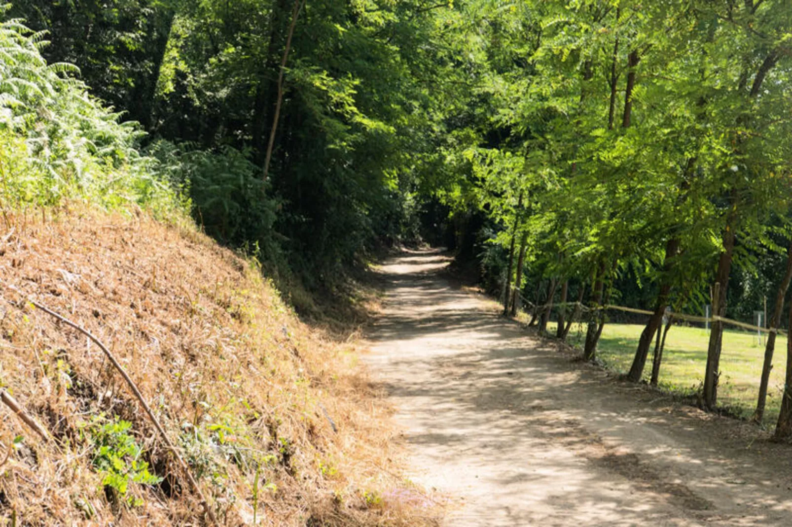 Mobil Home - Bungalow - Cottage à Santa Pau-Untagged