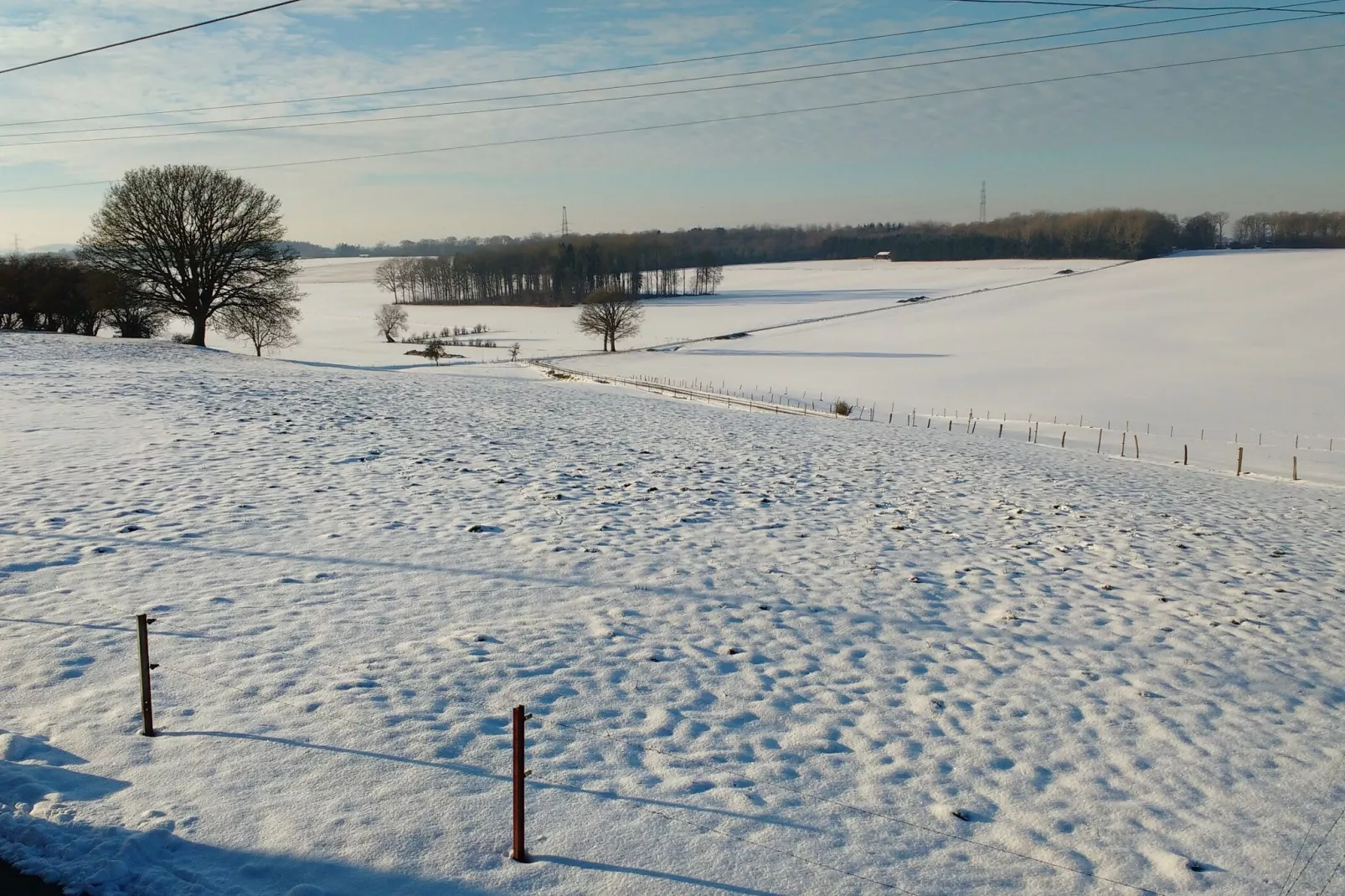 Ramelot gite carpe diem-Garden winter